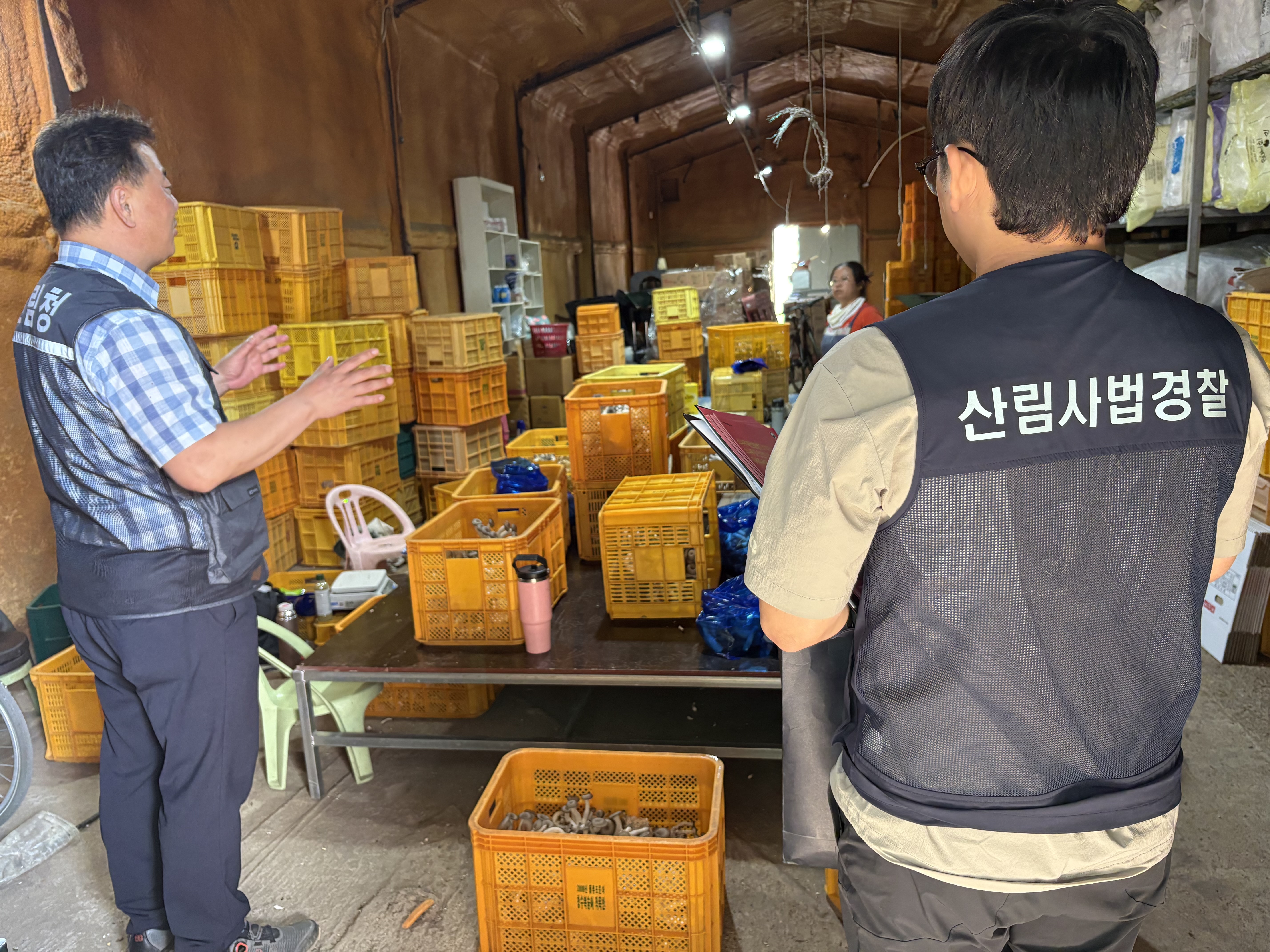 영덕국유림관리소, 9월 소나무류 무단이동 특별단속 실시 이미지1
