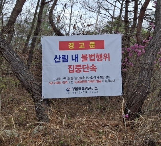 영암국유림관리소, 가을철 산림 내 불법행위 집중단속 실시 이미지1