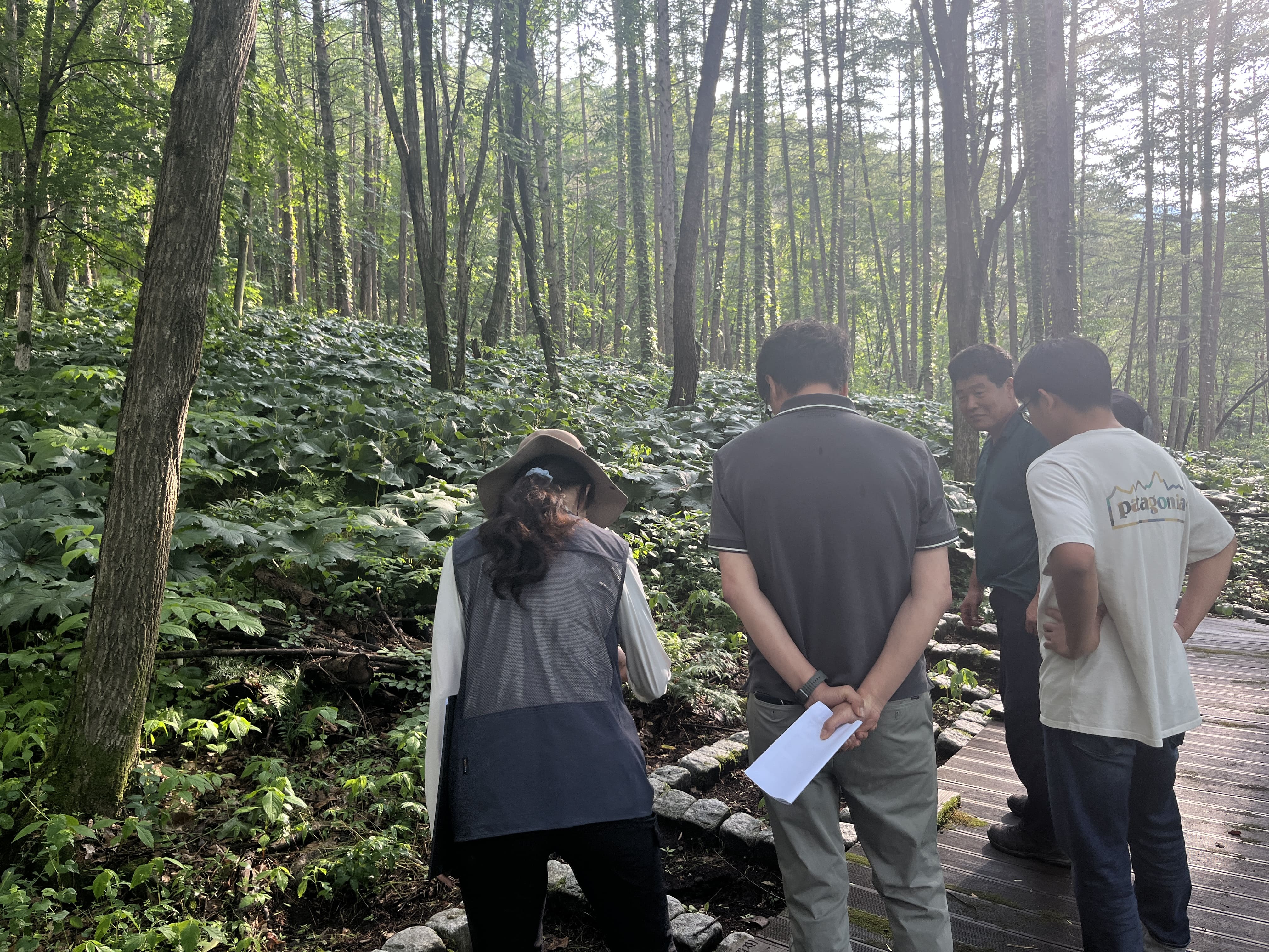 북부지방산림청, 공동산림사업 관리 강화를 위한 현장점검 실시 이미지1
