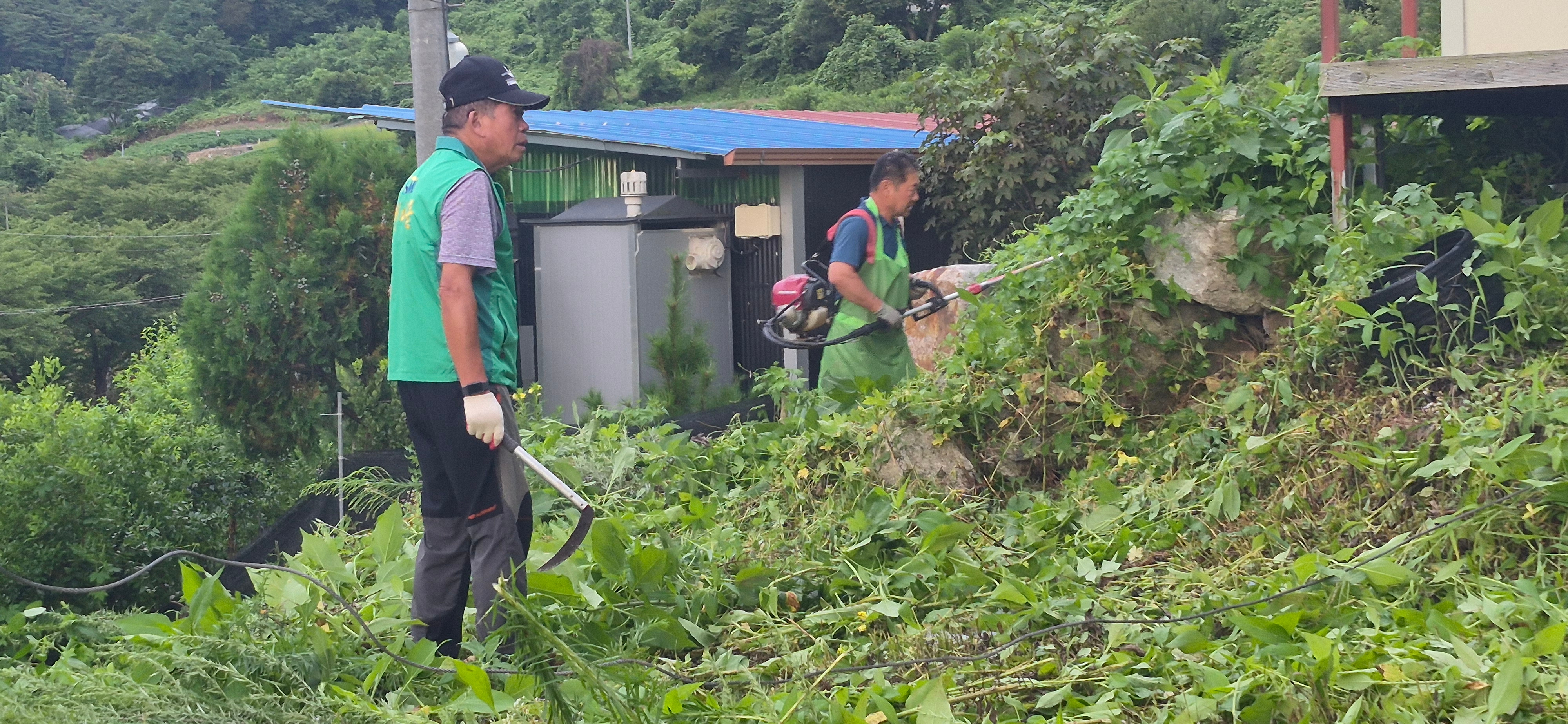 (8.11.)산외면 남․여새마을지도자협의회, 취약가구 주거환경 정비봉사 2026-08-12 조회 : 5