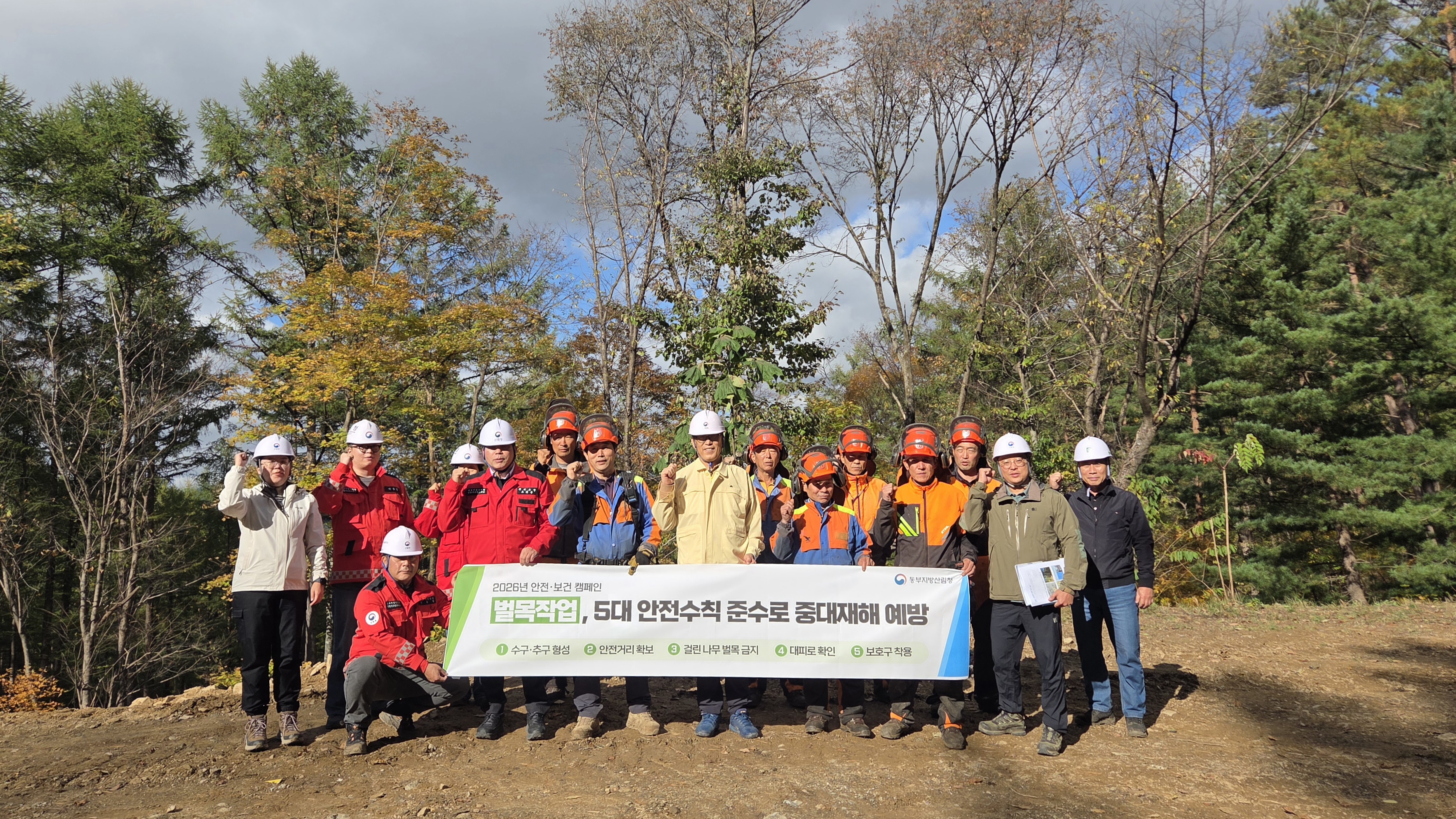 동부지방산림청, '위험하면 멈춘다' 벌목현장 안전문화 확산