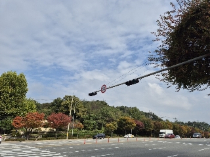 강남구 세곡동 산2 임야 경매 물건 사진