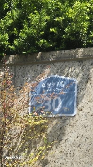 중구 남대문로5가 827 아파트 경매 물건 사진
