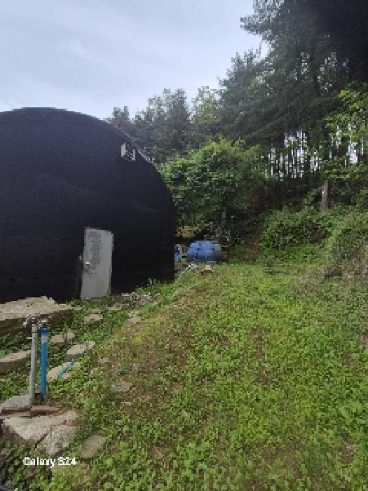 서초구 원지동 산4-52 임야 경매 물건 사진