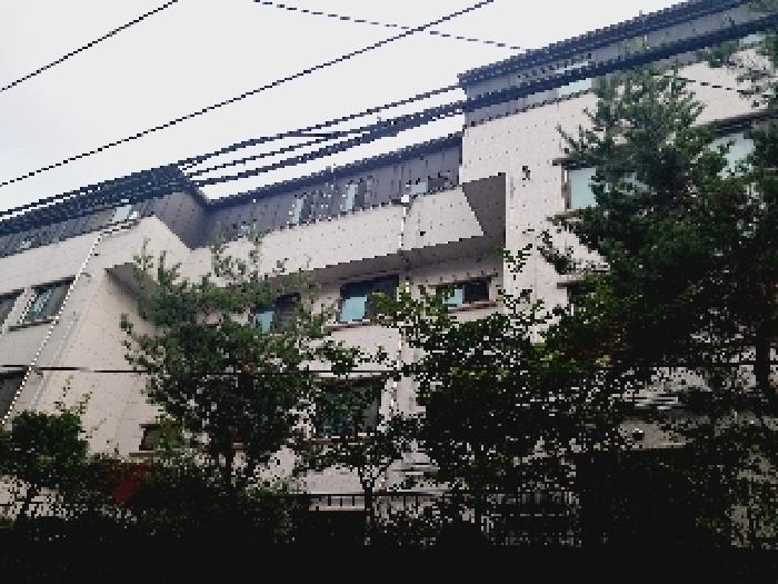 관악구 봉천동 635-198 다세대주택 경매 물건 사진