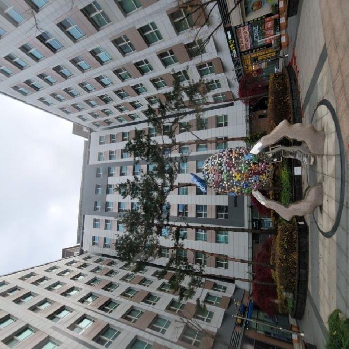 강남구 자곡동 651 상가,오피스텔,근린시설 경매 물건 사진