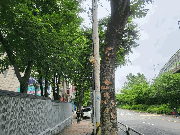 영등포구 대림동 607-1 근린생활시설 경매 물건 사진
