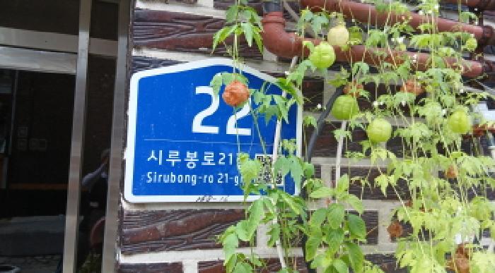 도봉구 방학동 158-16 연립주택,다세대,빌라 경매 물건 사진