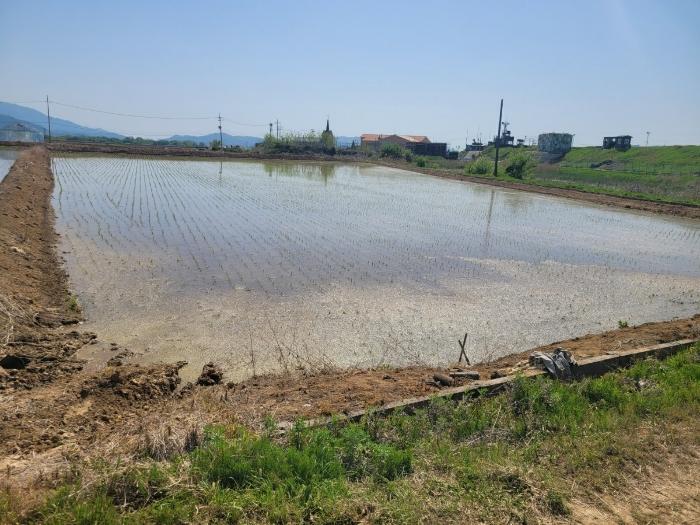 철원군 철원읍 내포리 답 경매 물건 사진