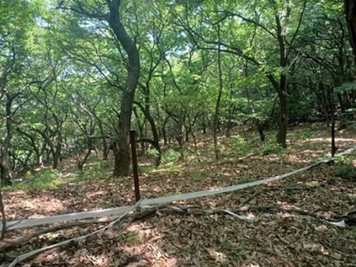 의정부시 산곡동 산64-3 임야 경매 물건 사진
