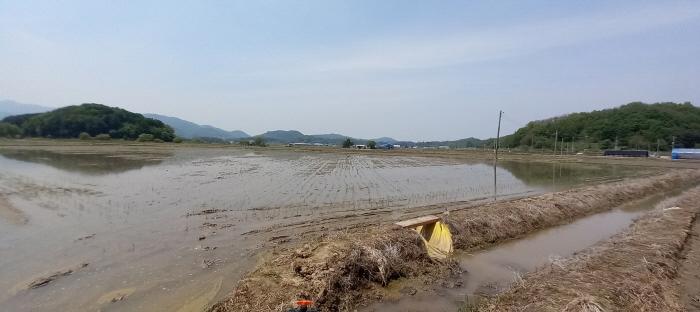 철원군 동송읍 대위리 답 경매 물건 사진