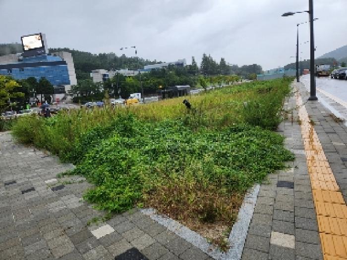 양주시 마전동 459-8 대지 경매 물건 사진