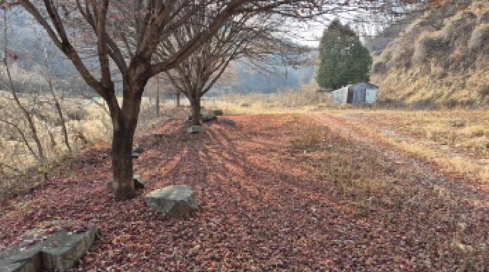 철원군 철원읍 화지리 임야 경매 물건 사진