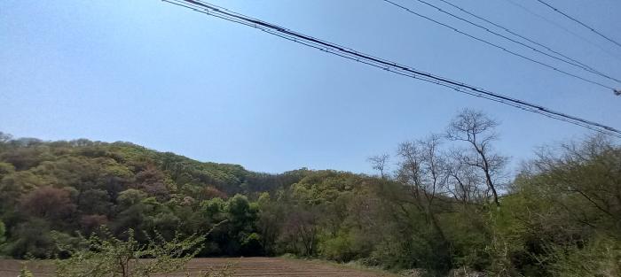 연천군 신서면 마전리 임야 경매 물건 사진