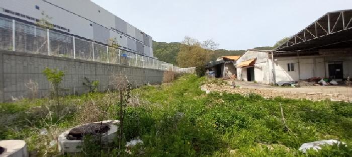 포천시 설운동 480-6 전답 경매 물건 사진