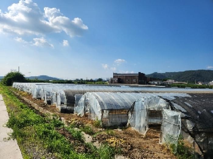 양주시 봉양동 354-1 전 경매 물건 사진