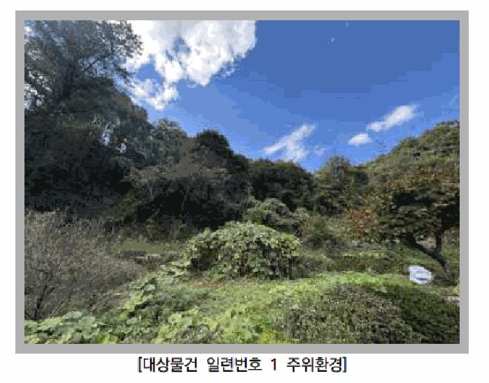 포천시 영중면 금주리 임야 경매 물건 사진