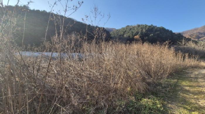 포천시 관인면 사정리 도로 경매 물건 사진