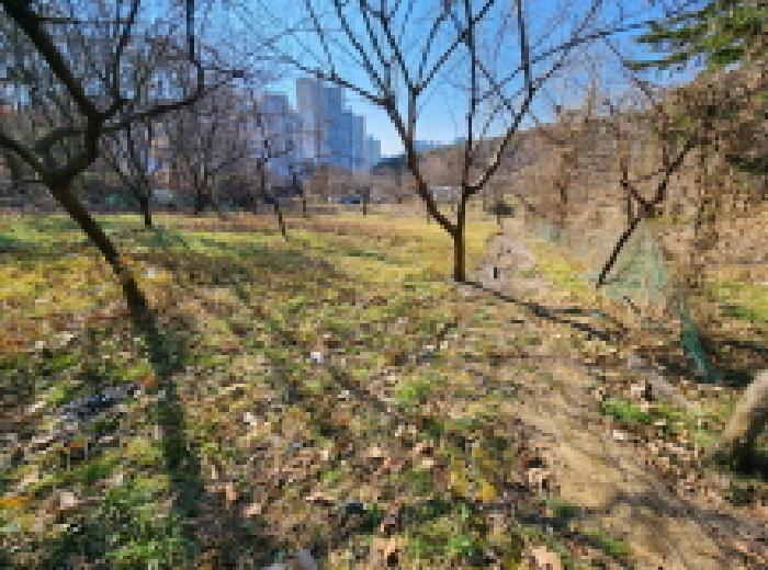 의정부시 낙양동 167-1 전 경매 물건 사진
