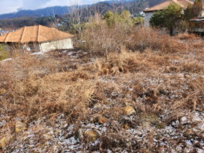 동두천시 송내동 201-9 도로 경매 물건 사진