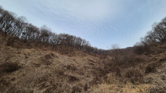 연천군 군남면 선곡리 임야 경매 물건 사진