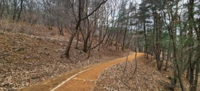 양주시 백석읍 가업리 임야 경매 물건 사진