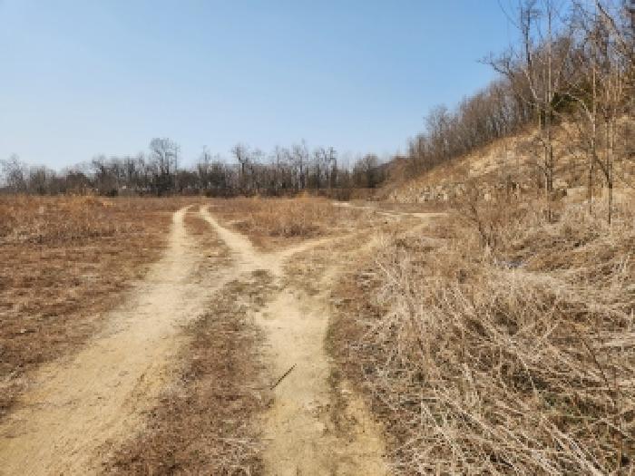 양주시 봉양동 산13-10 임야 경매 물건 사진