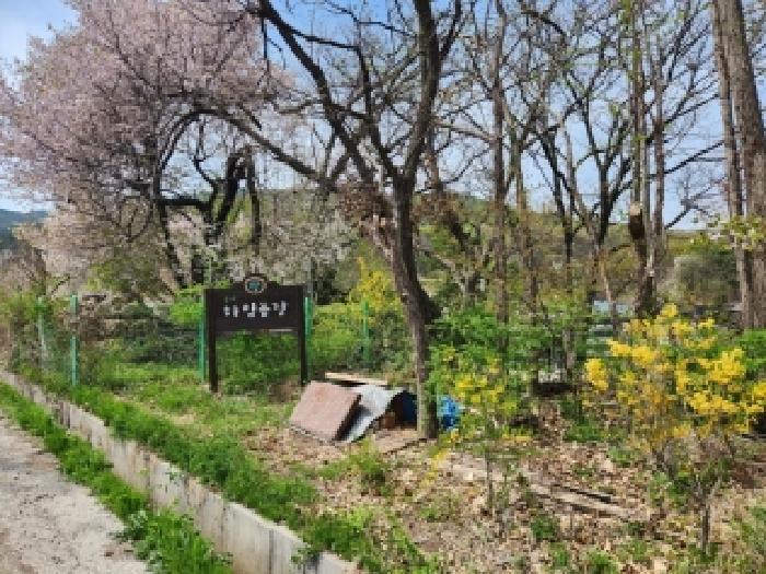 양주시 어둔동 400 전답 경매 물건 사진