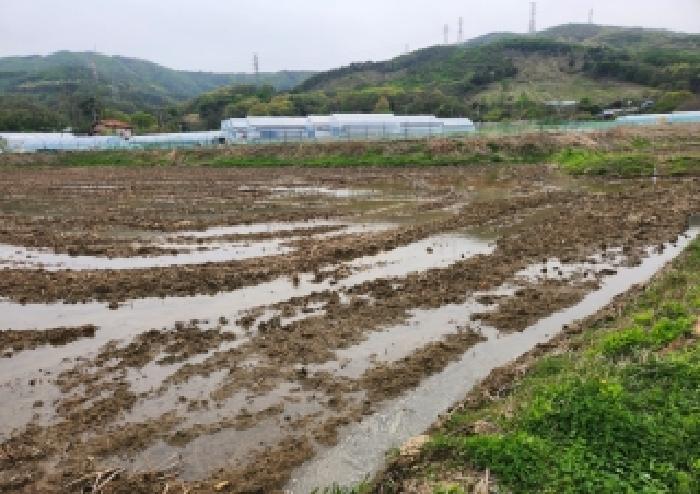 양주시 어둔동 321-24 전답 경매 물건 사진