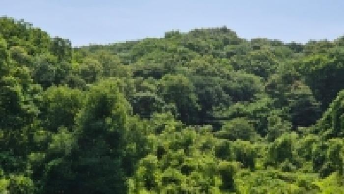 연천군 신서면 답곡리 임야 경매 물건 사진