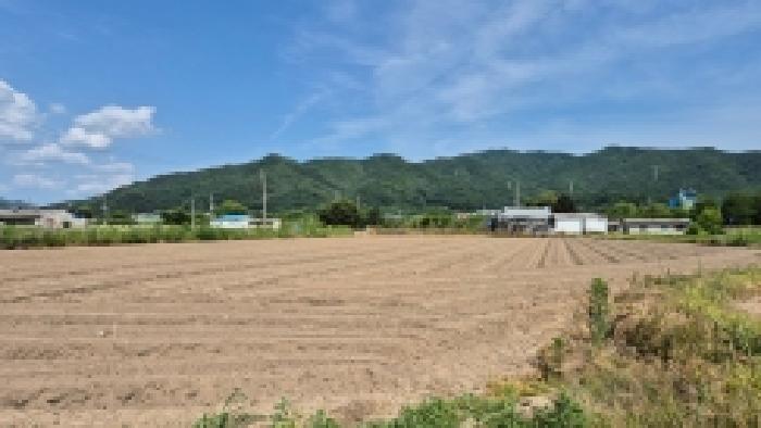 철원군 갈말읍 문혜리 전답 경매 물건 사진