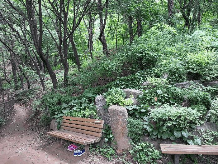 은평구 응암동 산6-22 임야 경매 물건 사진