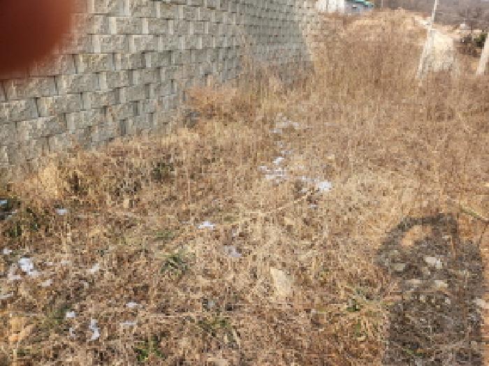 강화군 삼산면 매음리 임야 경매 물건 사진