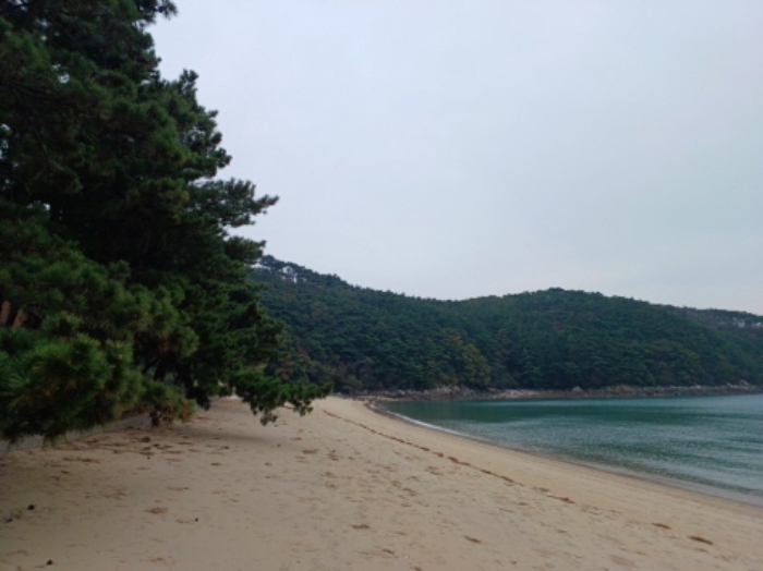 옹진군 덕적면 진리 임야 경매 물건 사진
