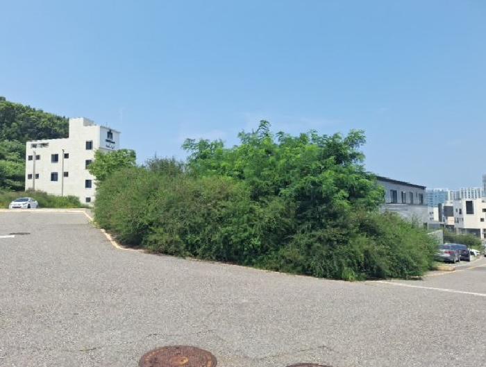 중구 운서동 3118-5 대지 경매 물건 사진