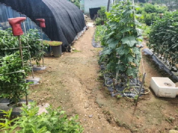강화군 길상면 동검리 대지 경매 물건 사진