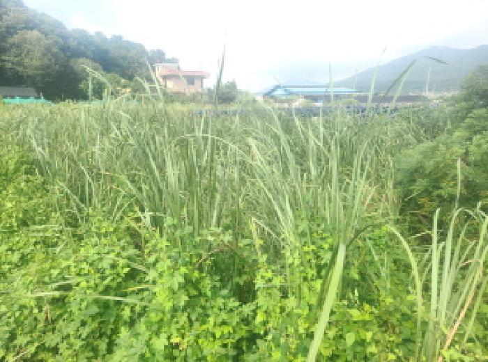 강화군 하점면 부근리 답 경매 물건 사진
