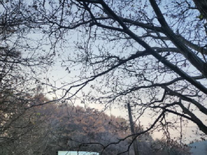 강화군 불은면 두운리 임야 경매 물건 사진