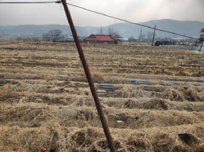 강화군 선원면 선행리 전 경매 물건 사진