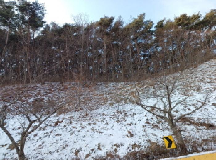 옹진군 덕적면 소야리 임야 경매 물건 사진