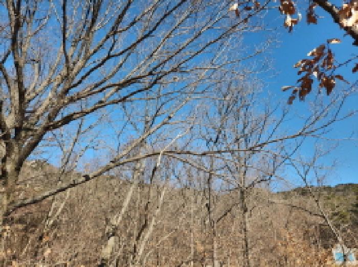 강화군 삼산면 매음리 임야 경매 물건 사진