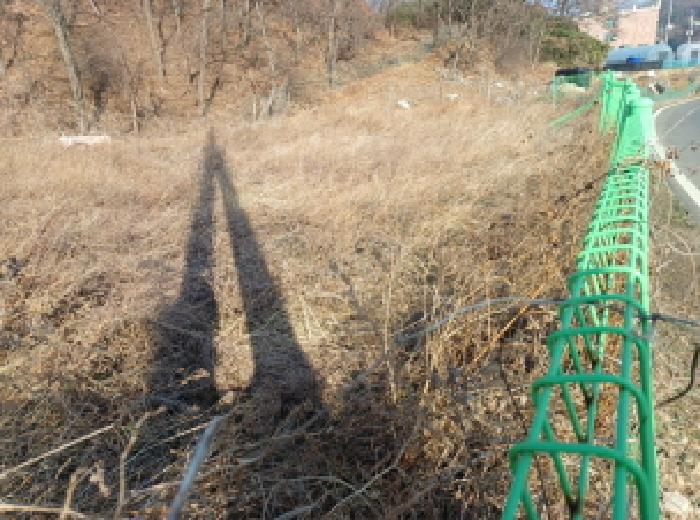 옹진군 영흥면 외리 답 경매 물건 사진