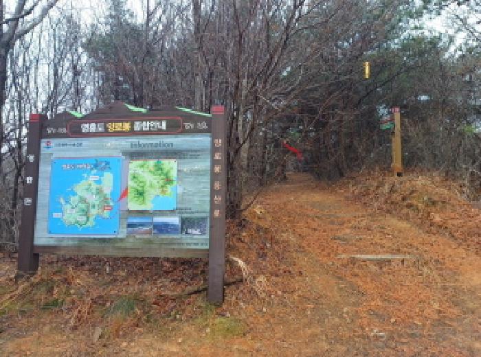 옹진군 영흥면 내리 임야 경매 물건 사진