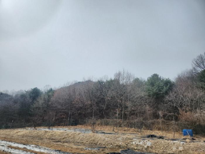 강화군 양사면 철산리 임야 경매 물건 사진