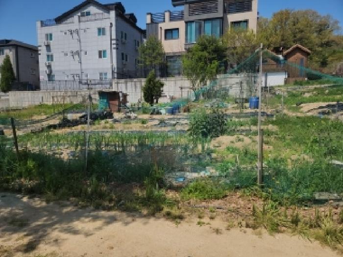 중구 운남동 1538-3 대지 경매 물건 사진