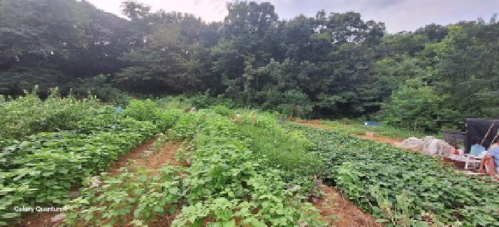 남동구 도림동 434-24 대지 경매 물건 사진