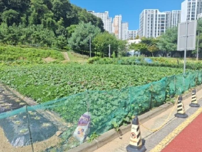중구 중산동 1908-4 대지 경매 물건 사진