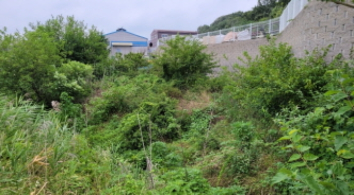 김포시 대곶면 대벽리 전 경매 물건 사진