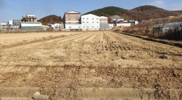 김포시 하성면 봉성리 답 경매 물건 사진