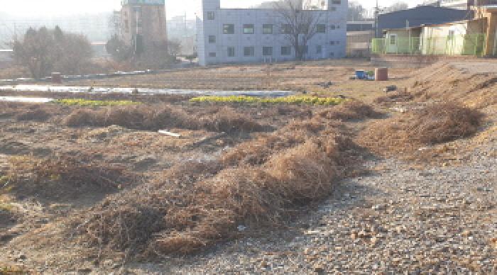 김포시 통진읍 마송리 전답 경매 물건 사진